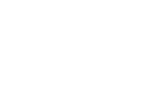 Big Logo
